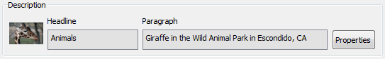 Image info : Free Flash Templates As2