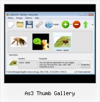 As3 Thumb Gallery Top Slideshows Jquery Flash