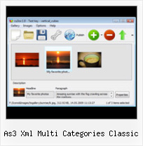 As3 Xml Multi Categories Classic Textpattern Free Template Flash Slideshow