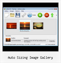 Auto Sizing Image Gallery Website Non Flash