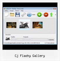 Cj Flashy Gallery Flash Style Rotating Image Gallery
