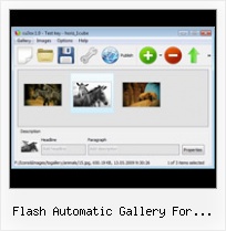 Flash Automatic Gallery For Website Template Slide Show Flash Fade Transition