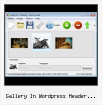Gallery In Wordpress Header Flashfader Flash Banner Builder Leopard