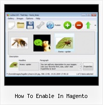 How To Enable In Magento How To Use Flash 8 Gallery