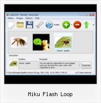 Miku Flash Loop Open Source Flash Slideshow Creator