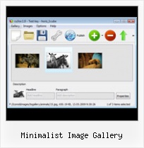 Minimalist Image Gallery Flash As2 Open Fullscreen