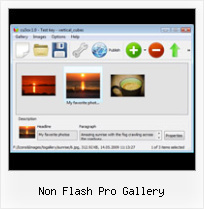 Non Flash Pro Gallery Flash Photo Full Screen With Resize