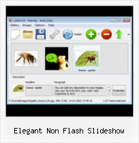 Elegant Non Flash Slideshow Macromedia Flash 8 Tutorials Gallery Banner