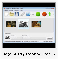 Image Gallery Embedded Flash Player Scrolling Flash Image Gallery Template